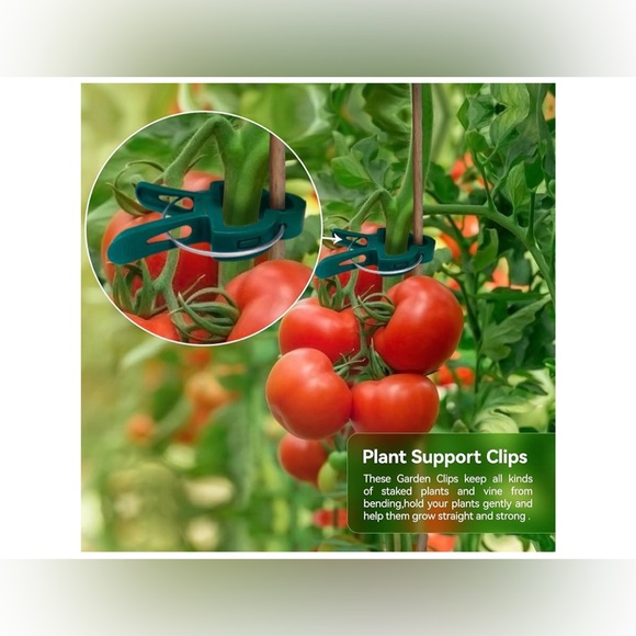 Green Plant Support Clips - Picture 5 of 5